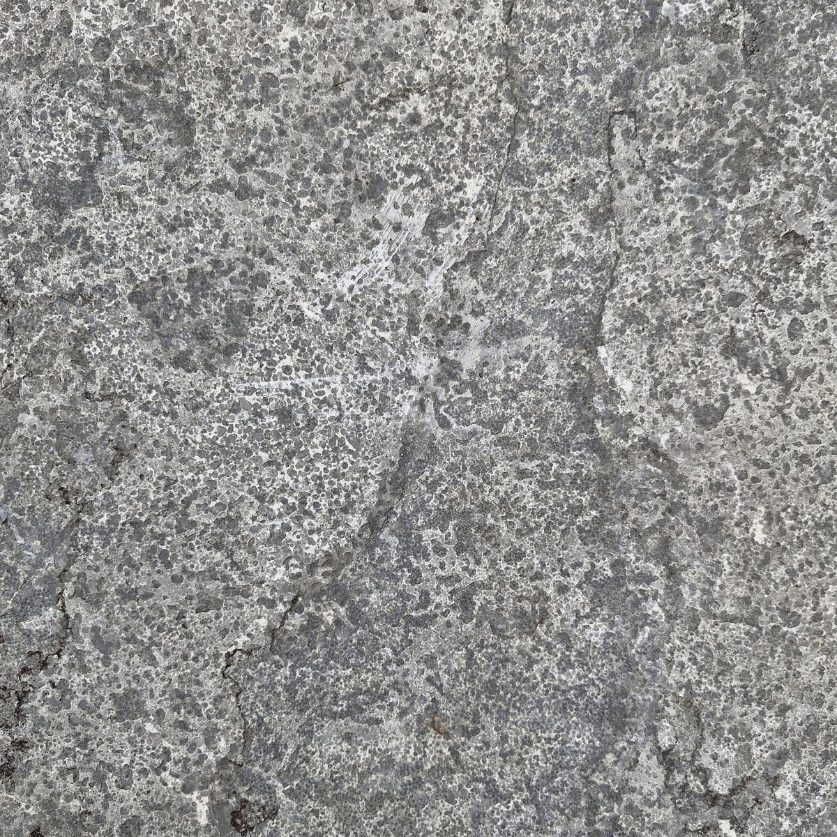 Blaustein Kalkstein Terrassenplatten in Flamed-Optik, 60x60 cm, naturbelassen, für Garten und Terrasse, Restposten