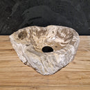 Aufsatzwaschbecken aus versteinertem Holz | Naturstein | Unikate | Verschiedene Größen | Model B1–4