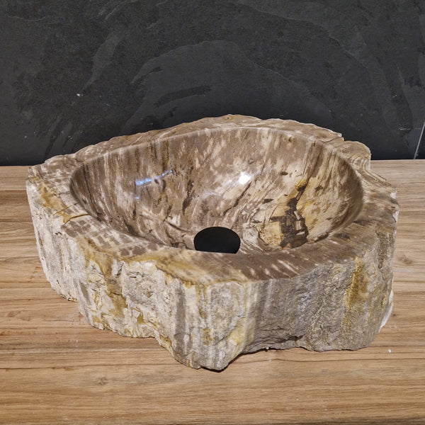Wasbak van versteend hout | Natuursteen | Unieke stukken | 40-60 cm