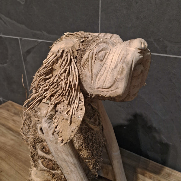 Anjing | Hond | Wortelhout