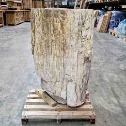 Standwaschbecken Versteinertes Holz | 58 x 39 x 91 cm mit Hahnloch | Q11 - Badgestaltung