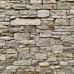 Rocks Verblender | Quarzit Golden Vein | Naturstein