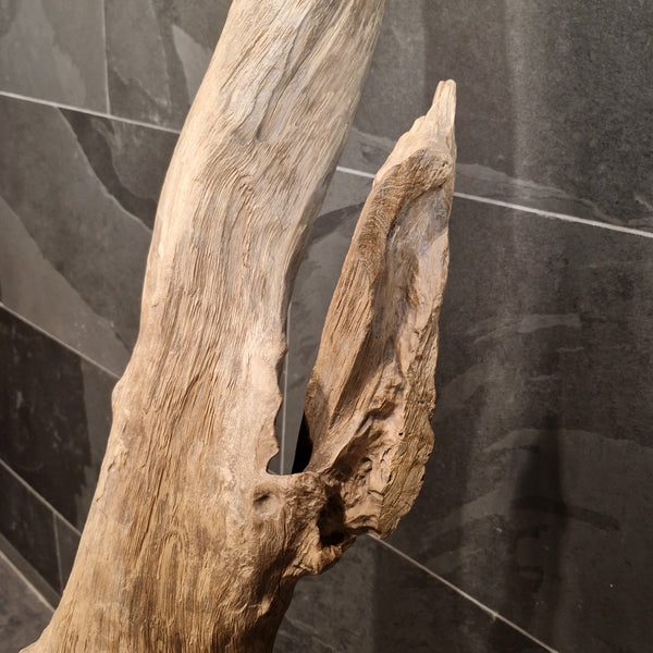 ROOT WOOD | Stehlampe | Indonesisches Wurzelholz