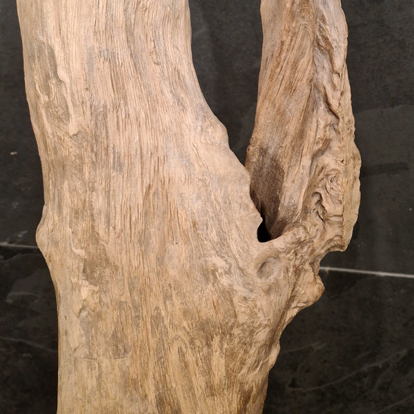 ROOT WOOD | Stehlampe | Indonesisches Wurzelholz