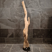Indonesische Stehlampe aus Wurzelholz, Badgestaltung, naturbelassenes Holz, 190 cm hoch, stilvolle Beleuchtung