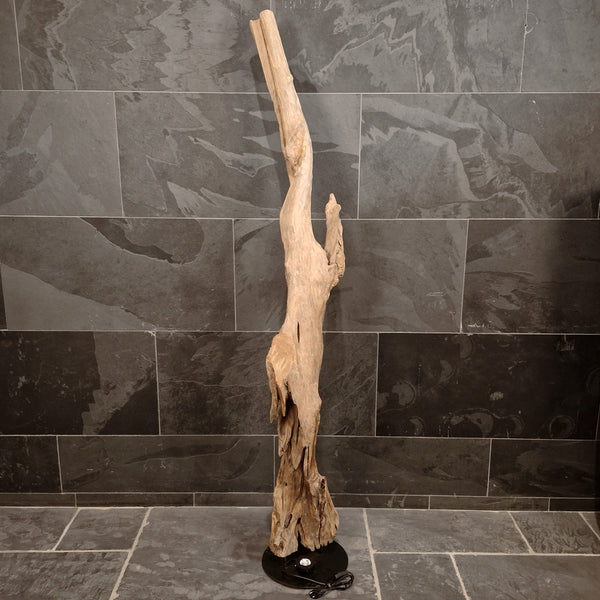 ROOT WOOD | Stehlampe | Indonesisches Wurzelholz