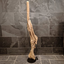 Indische Wurzelholz Stehlampe von STEHLAMPE, Badgestaltung, naturbelassenes Holz, 190 cm hoch, einzigartige Wurzelholz-Optik