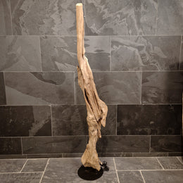 Indische Wurzelholz Stehlampe von STEHLAMPE, Badgestaltung, naturbelassenes Holz, 190 cm hoch, einzigartige Wurzelholz-Optik