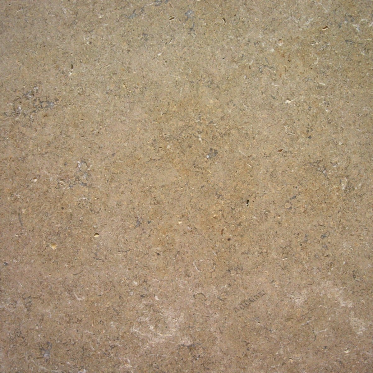 Getrommelte Kalksteinfliesen SINAI PEARL mit Muster, natürliche geprägte Oberfläche, dekorative Wand- und Bodenfliesen