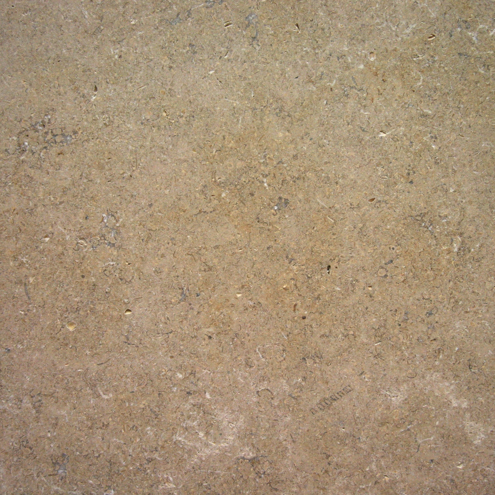 Naturstein Fliese für Wand und Boden Kalkstein Sinai Pearl
