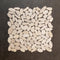 Naturstein Mosaikfliesen auf Netz Marmor Kiesel geschliffen